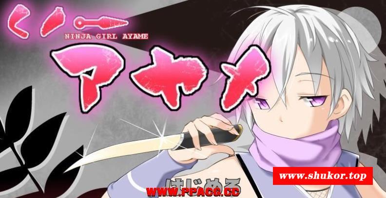 女忍者鸢尾V1.10 李大仙完整精翻汉化版/付全开存档【600M/CV】-小树基地