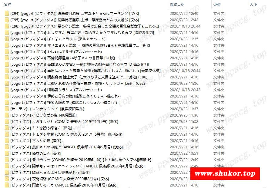 【2D/汉化/整合】大姐姐寝取30部全中文合集 【1G/5630P】-小树基地