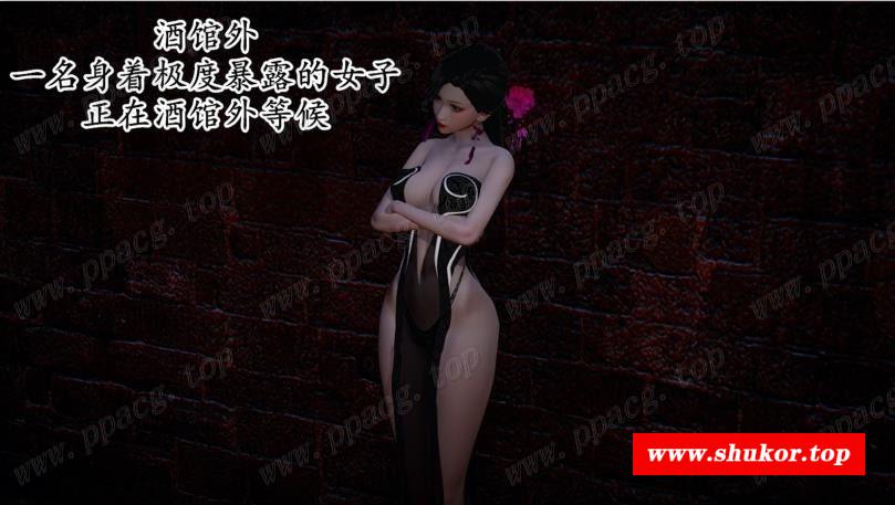 【3D全彩中文】暗城风云 中文版（银女小柔作者新作）【新作/130P】-小树基地
