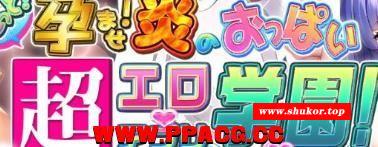 爆炎怀孕！超H催眠爆汝学园2 V2.0精翻修复版+存档CG动画[PC+安卓/9G]-小树基地