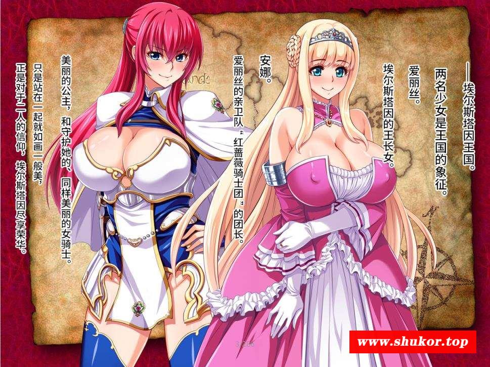 【2D全彩中文/神级画风】公主和女骑士~下品杂耍之旅！汉化版【新汉化/400M/286P】-小树基地