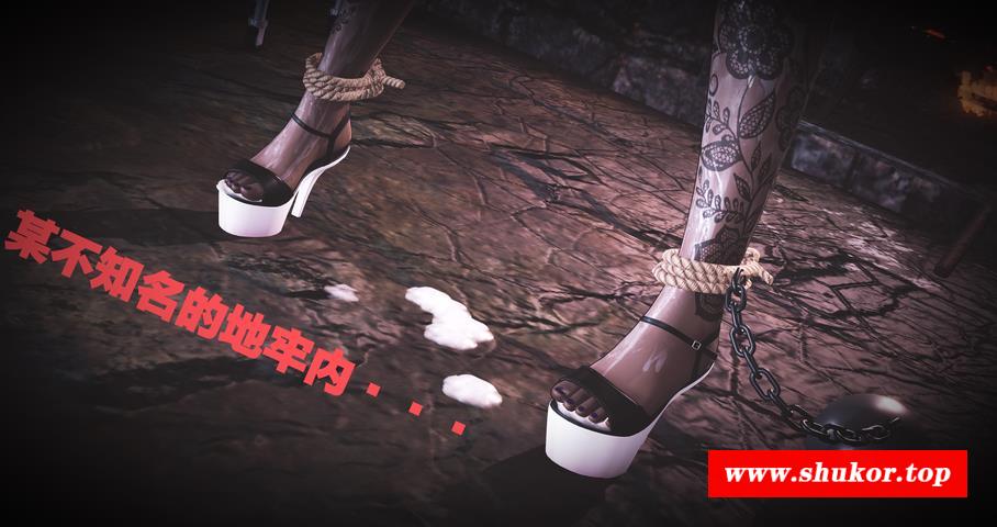 [3D中文全彩/凌茹/条教] 怪人们の玩具 [黑斯] [33P/315M]-小树基地