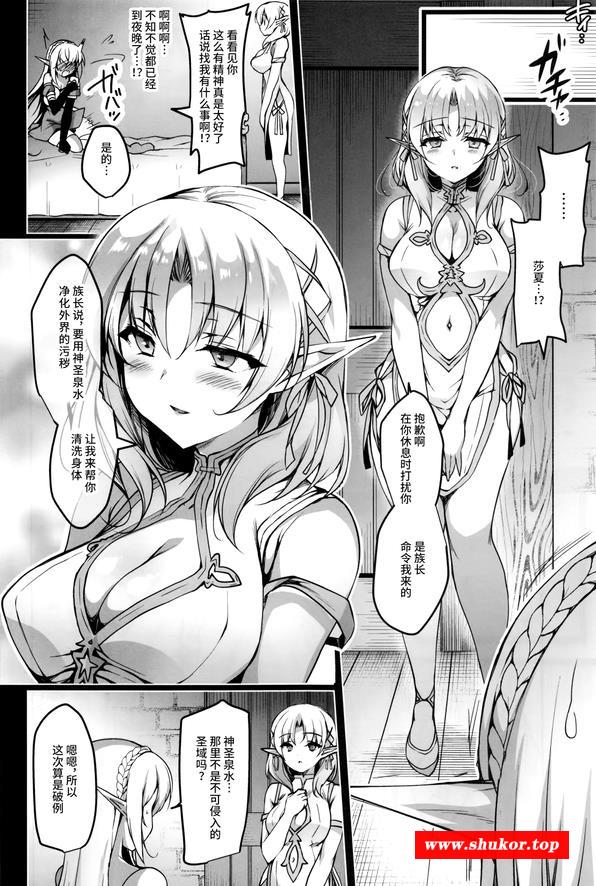【2D中文】精灵的纹章 汉化完结版【新汉化134M】-小树基地