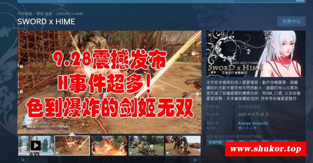 【极品ACT/中文/3D】SwordxHime劍姬無双 官方中文步冰版/付全开存档【8G/新作/全CV】-小树基地