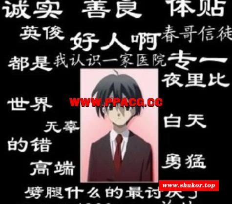 诚の回忆录：SD全系列-35部汉化步冰动画大合集【步冰/珍藏/1.5G】-小树基地
