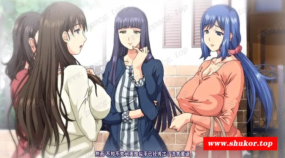 肉感鲤蕃：纯白少女骑士/公众RBQ 等20部汉化大合集【精品大车/9G】-小树基地