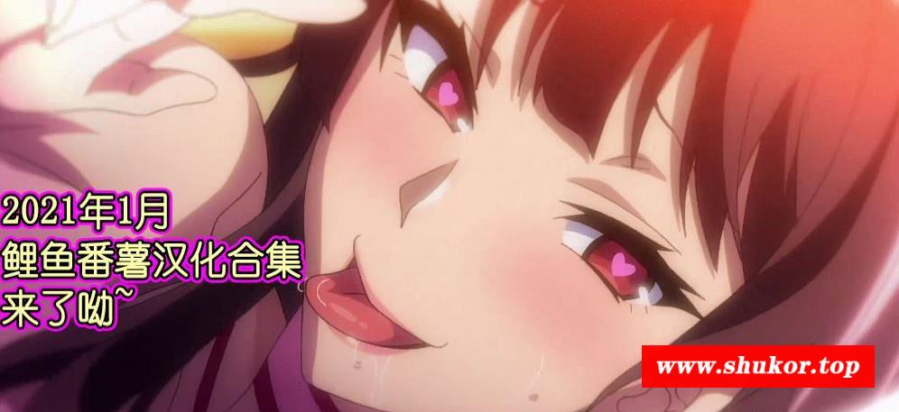 【2D/汉化/全动态】真·2021年1月鲤鱼番薯 1080P汉化大合集[付前作]【8G/全CV】-小树基地
