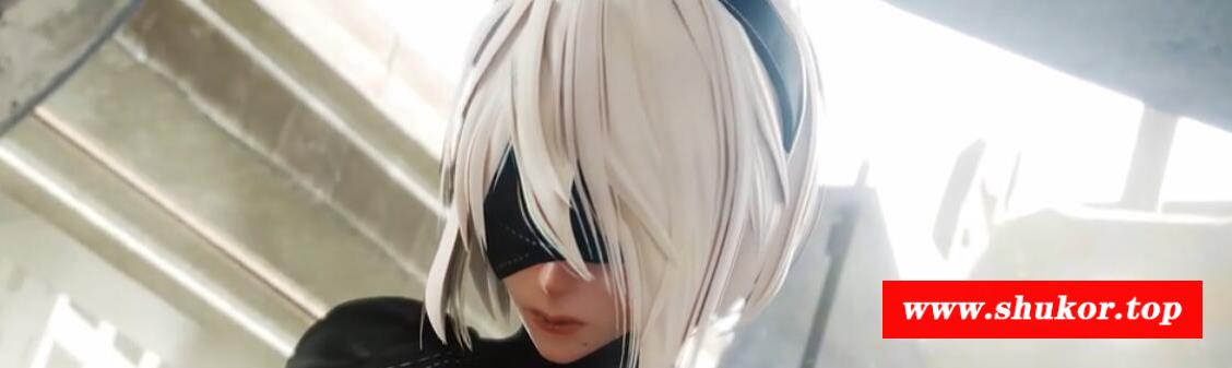 【神级3D/全动态】Nagoonimation 新作：2B骑术无双+Jessie【2月更新/300M】-小树基地