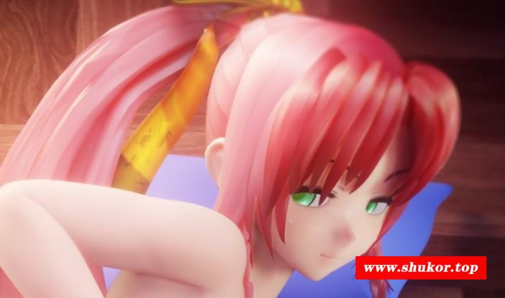 【3D同人/全动态】Shirakami大师11月新作：甘刻丼+白丝诺艾尔+全系列作品合集【2.5G/短动画】-小树基地