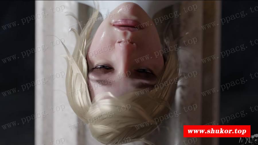 【3D同人/全动态】DC同人：神奇女侠大战女超人！1080HD版【新作/超高渲染/600M】-小树基地