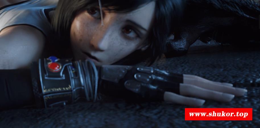 【极品3D同人/全动态】VGerotica 11月新作：蒂法和Doge 2KHD步冰版+赠品【新作/800M/短动画】-小树基地