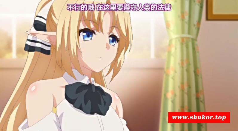 【2D/中文/合集】[魔人petit]社：典藏级鲤鱼番薯大合集 全中文/全系列【9.5G/全CV】-小树基地
