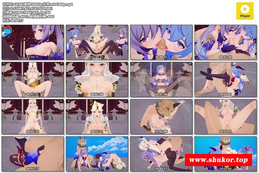 16[圆神]群玉阁和七星三飞 S&M[恋活]作者永夜mzk[1.51G/百度]-小树基地