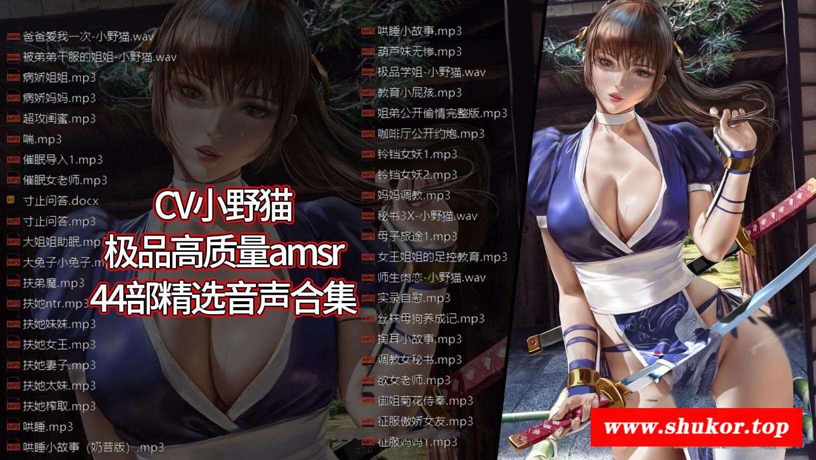 【极品AMSR/中文】CV小野猫：高质中文音声精选44部合集【1.9G/新作/中文配音】-小树基地