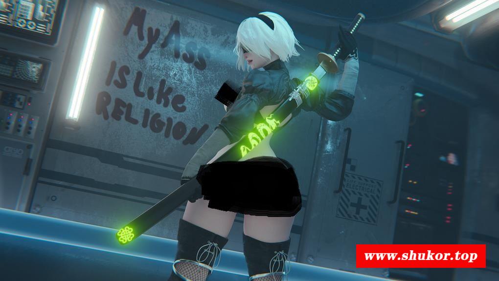 【3D同人/全动态】Hv54rDSL大师：新2B专业户 1080HD全作品合集【新作/全CV/1.3G】-小树基地