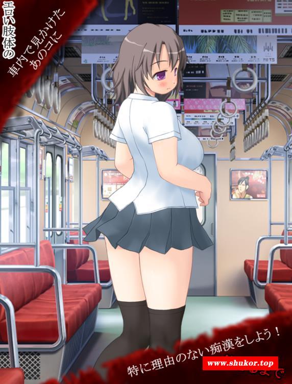 【互动SLG/动态】[无文本]触摸~痴漢電車 DL正式版【PC+安卓]/100M】-小树基地