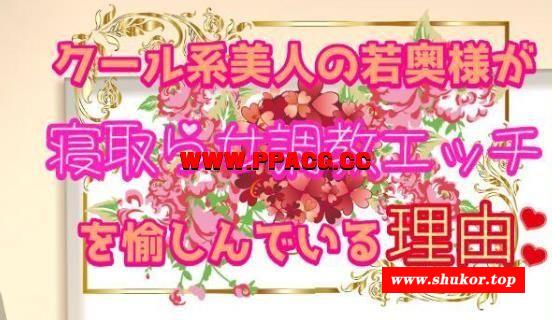 冷酷的美女人齐让人NTR并享受跳教的理由！汉化版+CG【新汉化/800M】-小树基地