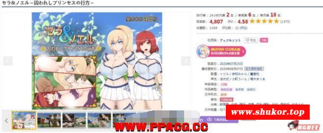 塞拉与诺埃尔~被囚禁公主的下落！汉化作必版+CG【新汉化/战H/1.4G】-小树基地