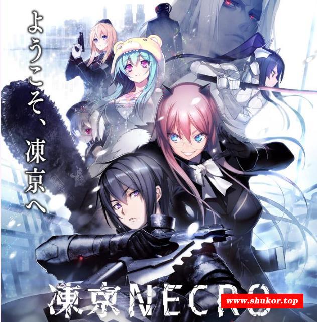 凍京NECRO：完整汉化版+提取动画+CG包【佳作/全CV】【8.6G】-小树基地