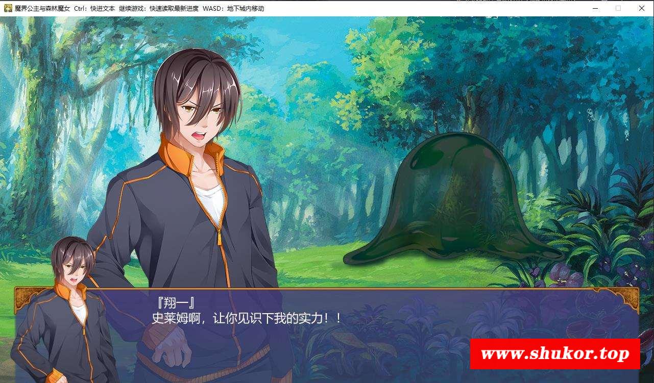 【大型探索RPG/中文】魔界公主与森林魔女 STEAM官方中文步冰版+全CG档【6月新作/2G】-小树基地