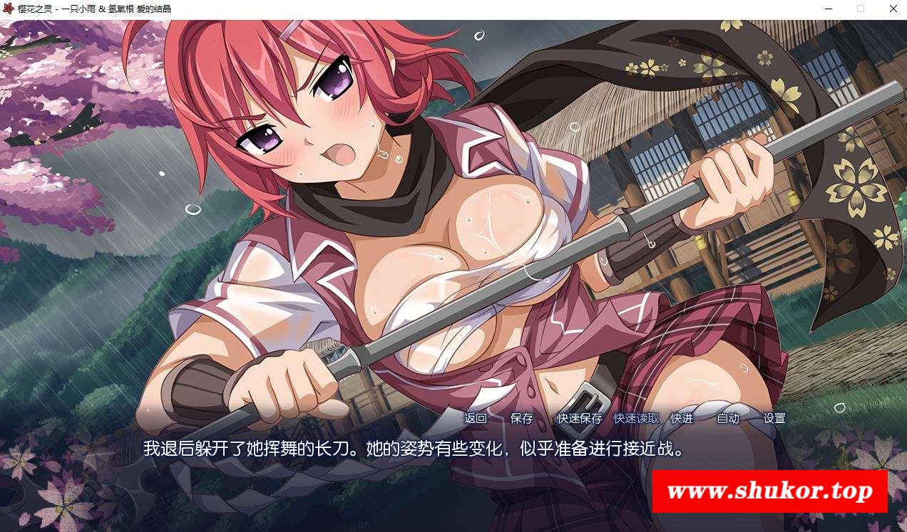 【RNG/中文】樱花之灵（Sakura Spirit） 汉化硬盘版【300M】-小树基地