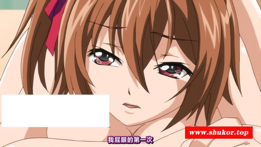 【2D精选/汉化】菊！花！绽！放！合集 精选鲤鱼蕃薯混剪！HD版【高能纯冲/超带劲/2G】-小树基地