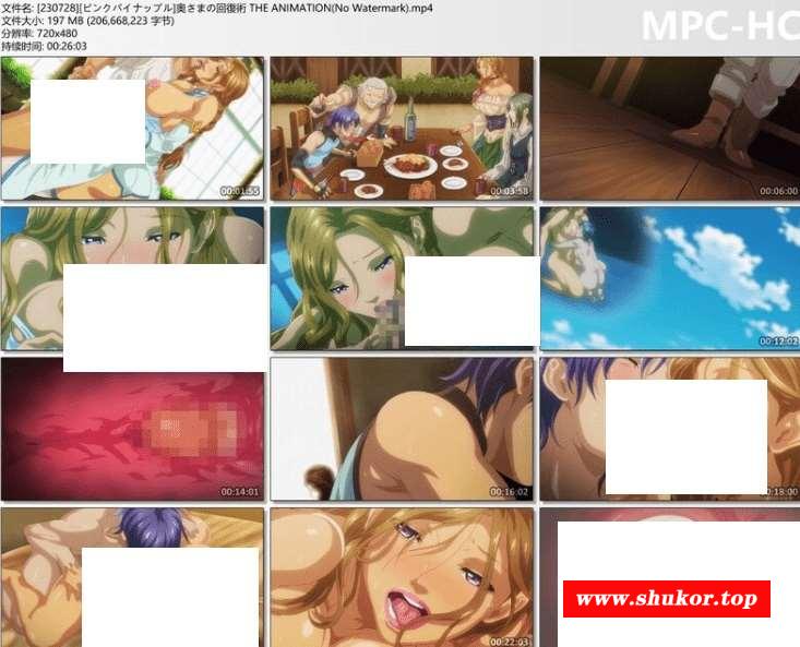 图片[2]-[顶级大作/全动态] ピンクパイナップル：爆ru美人齐被我狠狠的揉胸后入猛 奥さまの回復術 1080HD高清[FX47212500] [400M/百度]