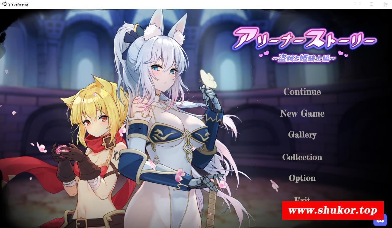 【卡牌SLG/中文/全动态】斗技场物语～盗贼与姬骑士篇 STEAM官中步冰版+回想【500M】-小树基地