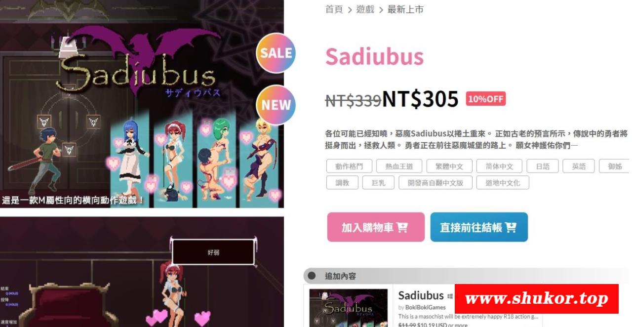 图片[2]-【像素ACT/中文/全动态】Sadiubus Ver1.0.1 官方中文版+全回想【新作/双端/300M】