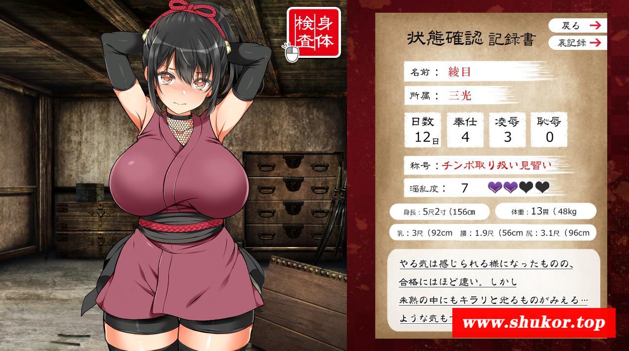 图片[7]-【大型条教SLG/爆款/极品全动态】女忍者堕落：忍堕とし 正式完全版【新作/全CV/11G】
