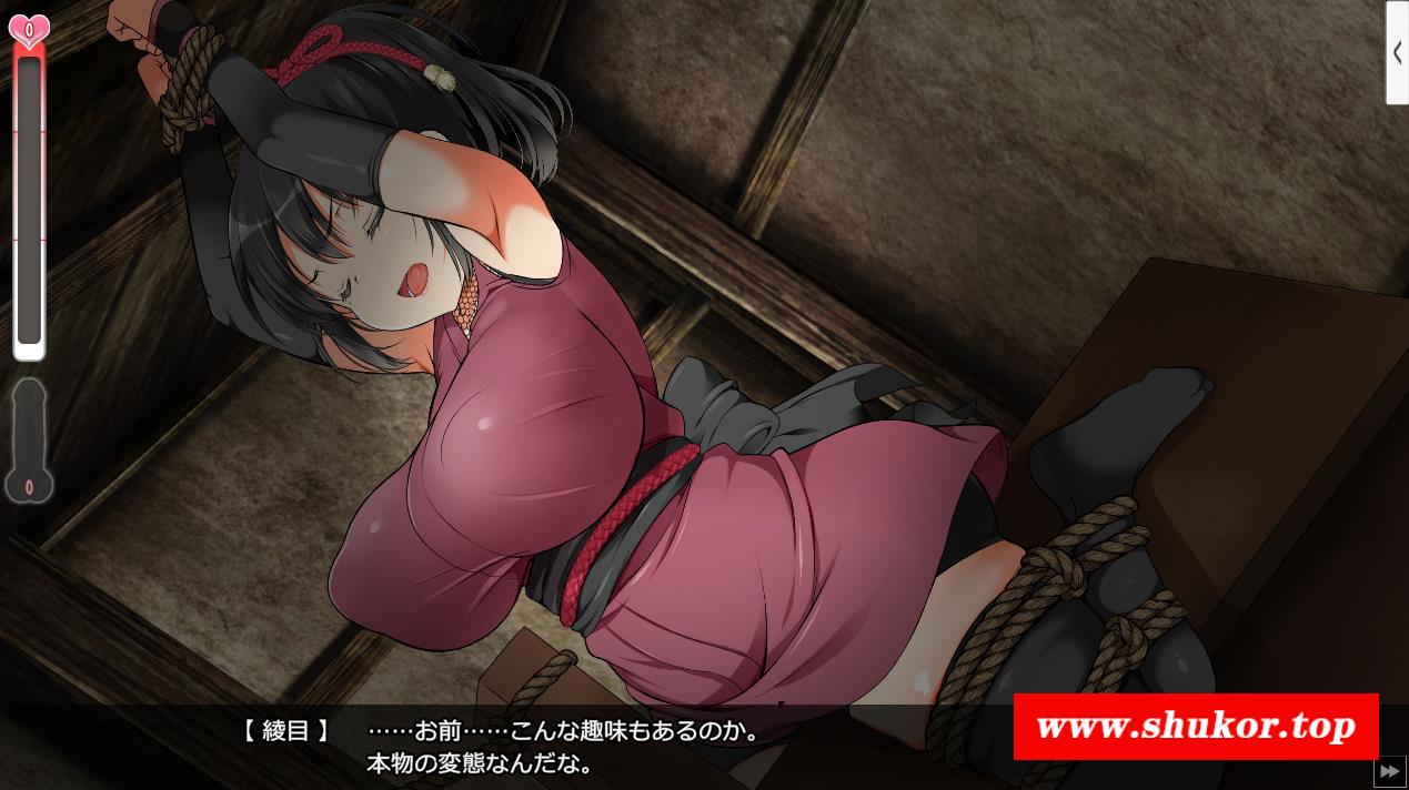 图片[5]-【大型条教SLG/爆款/极品全动态】女忍者堕落：忍堕とし V1.1完全版+存档【更新/11G】
